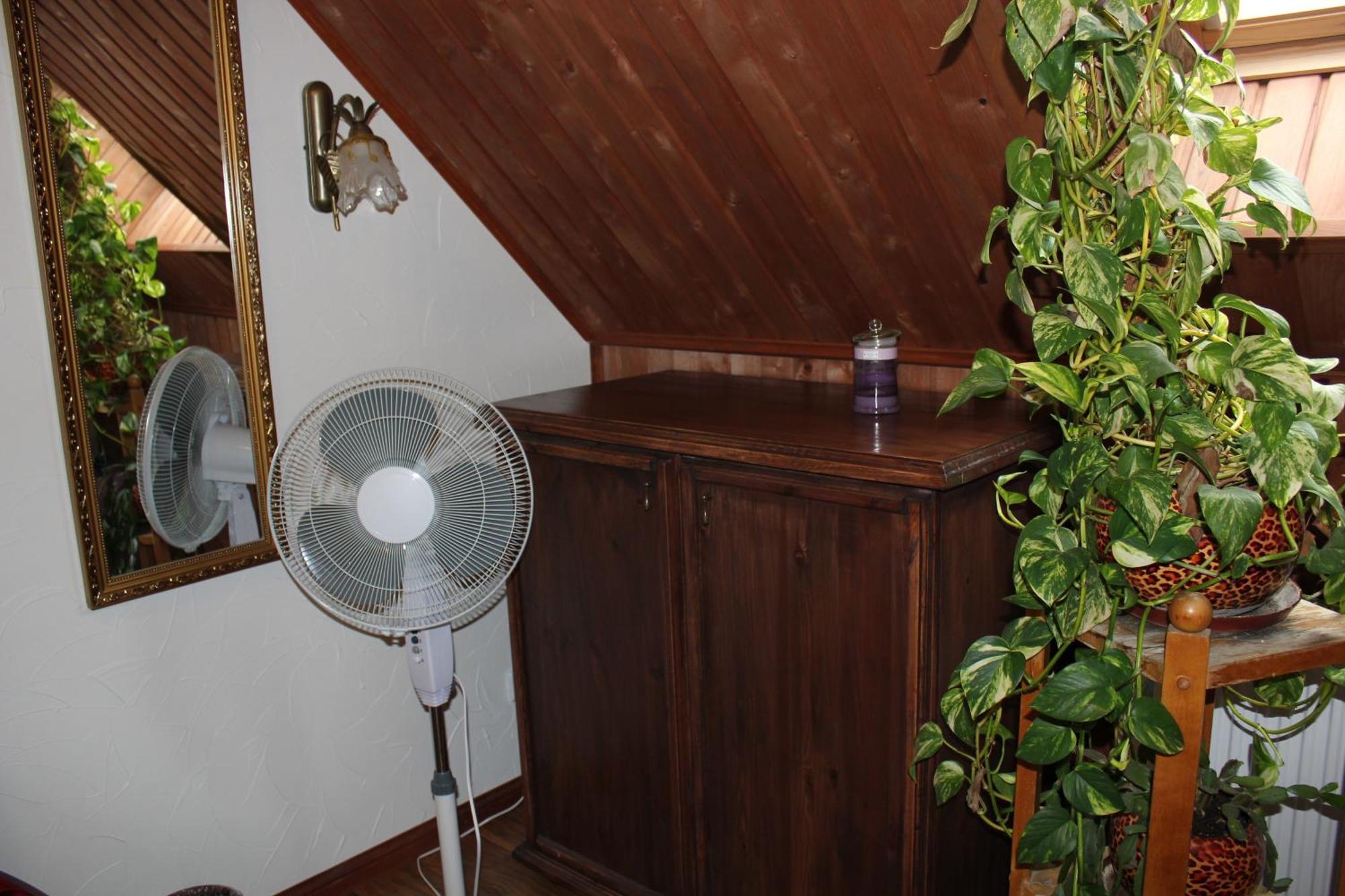 Krapi Guesthouse Treimani Rum bild