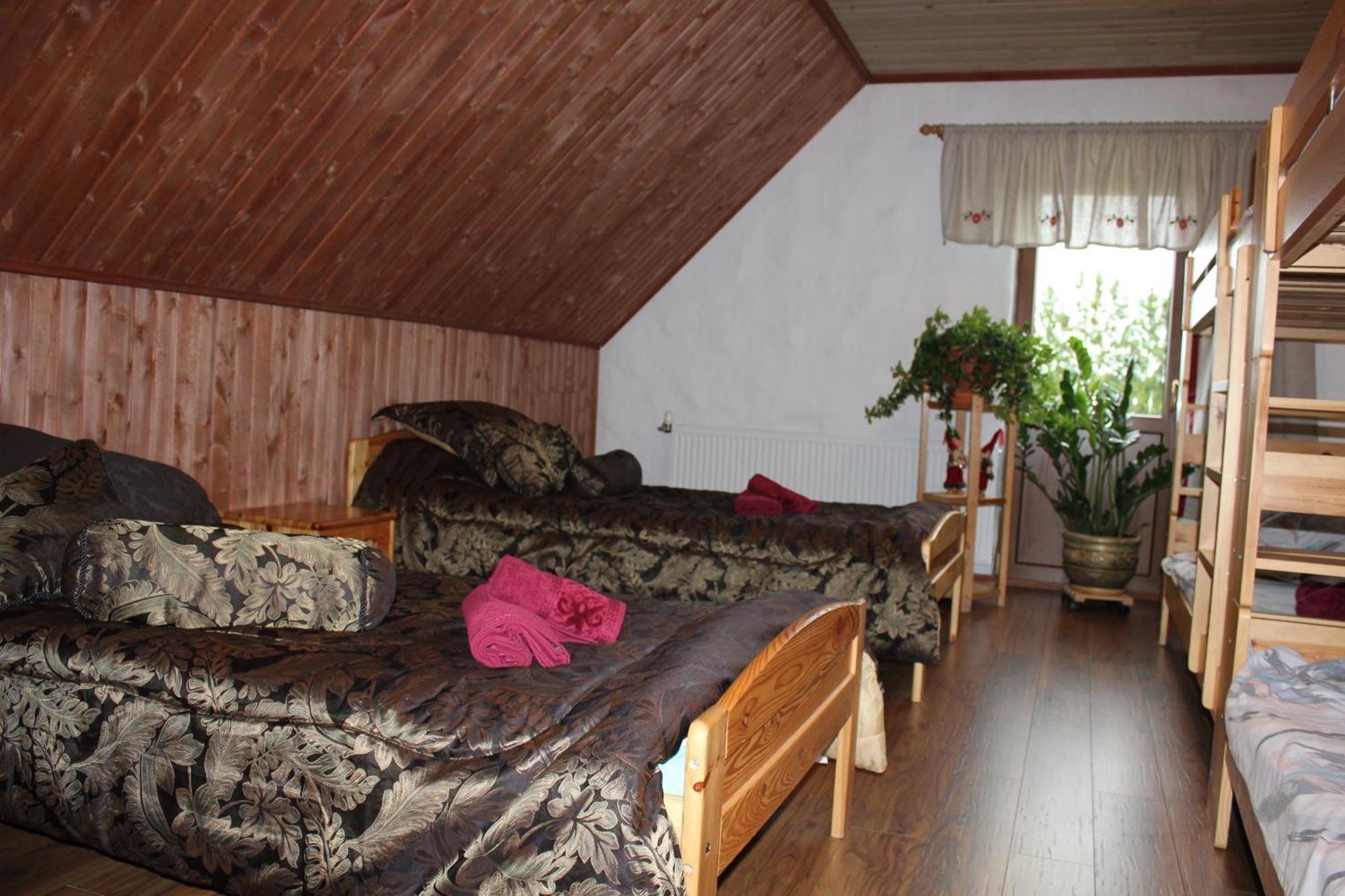 Krapi Guesthouse Treimani Rum bild